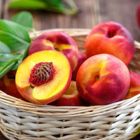 Нектарин Рубиновый Принц